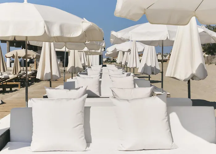 Hôtel Plage Palace&Spa